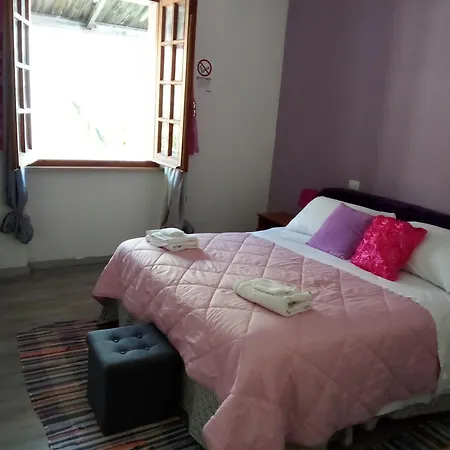 Economy Double Room, Bathroom In Shared בית אירוח אולביה